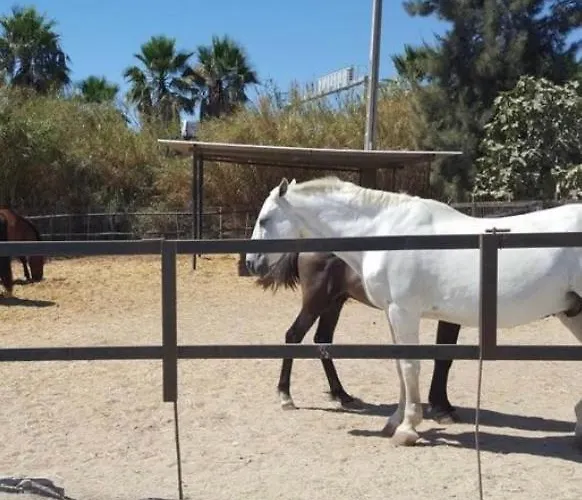 Casa Rustica 1 아파트