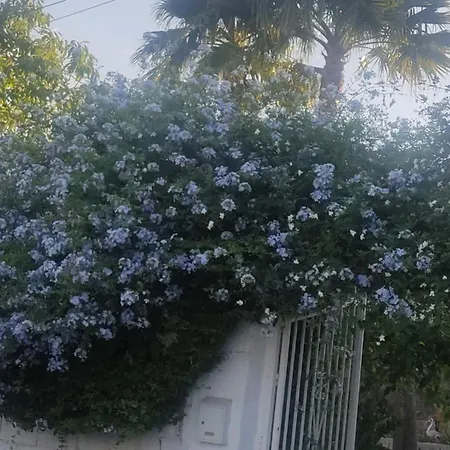 Apartament Casa Rustica 1