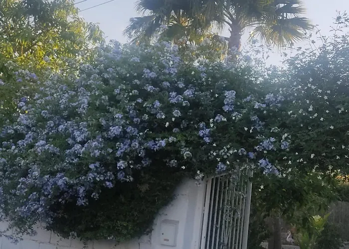 Apartamento Casa Rustica 1